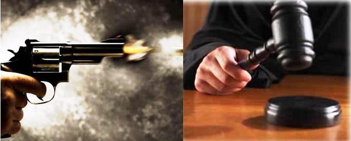 531 O crime mata a lei