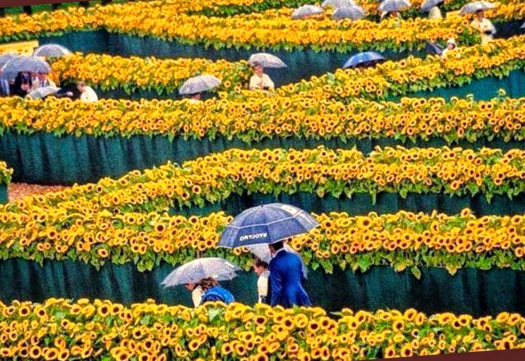 7000 Van Gogh girassóis