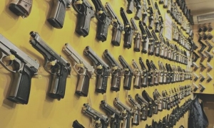 LIBERAÇÃO DA VENDA DE ARMAS: